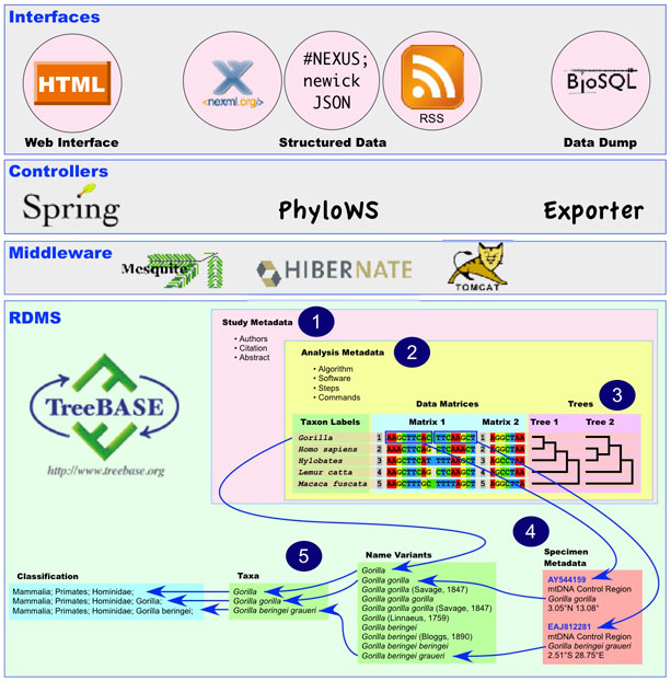 TreeBASE architecture